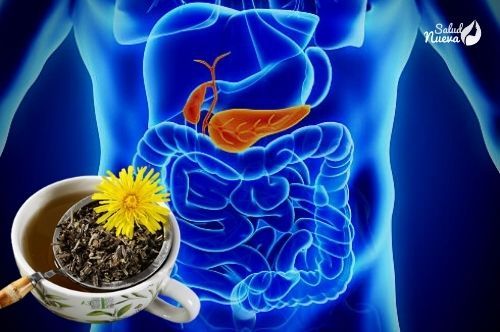 remedios naturales para limpiar el pancreas